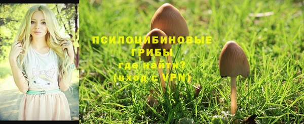 соль курить ск Кулебаки