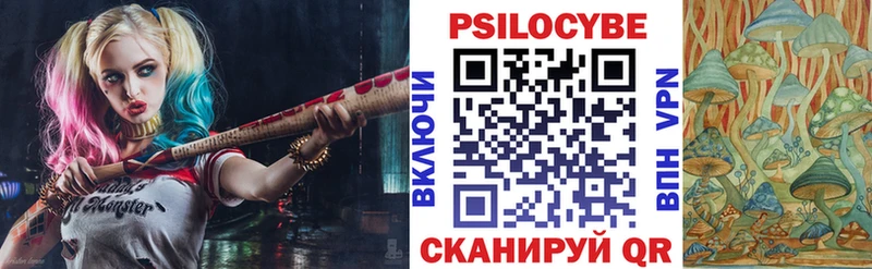 Купить закладки  Болгар  Галлюциногенные грибы Cubensis 