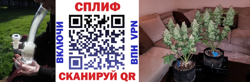 Канабис тримм  Купить закладки  Болгар 